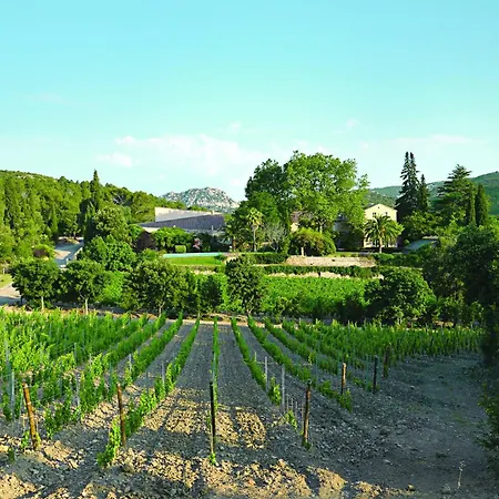 La Maison Des Vendangeurs Tatil Evi